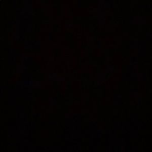 Meet your Posher, Brooklynn-lear